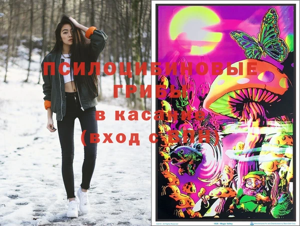 PSILOCYBIN Володарск