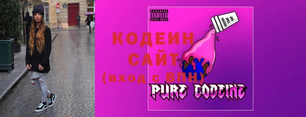 гашик Вяземский