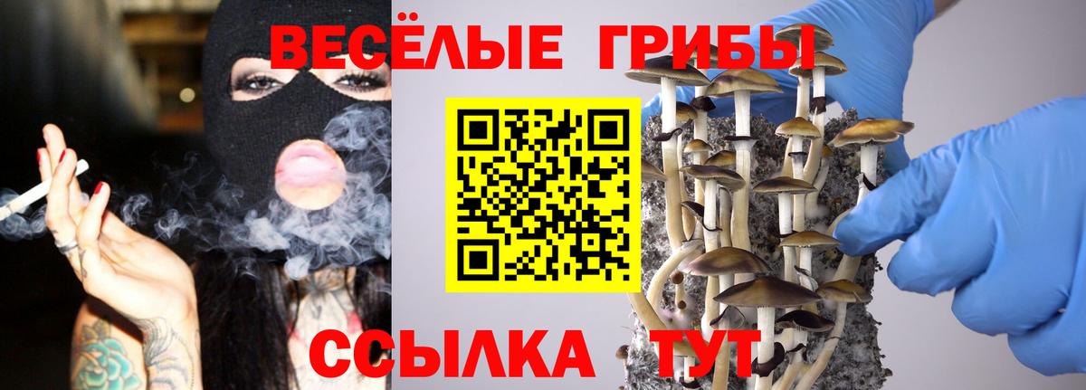 Галлюциногенные грибы мицелий Вольск